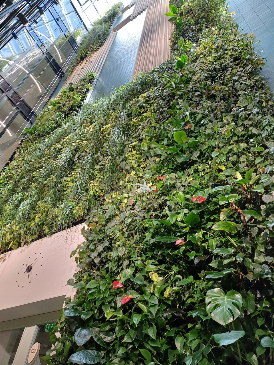 Vertical Garden After